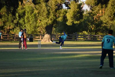 DSC_2401 (Large).JPG